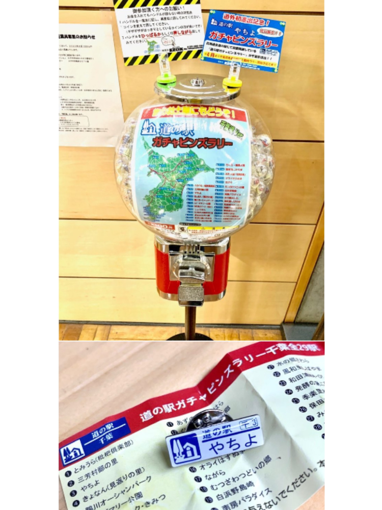 限定ゴールドピンズセット 道南エリア14箇所＋おまけ付 道の駅